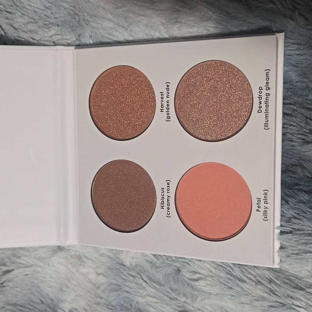 Blush Palette